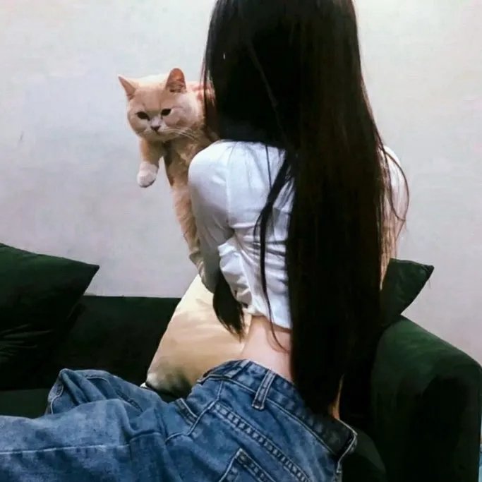 停尸奸