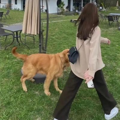 挑情尤物